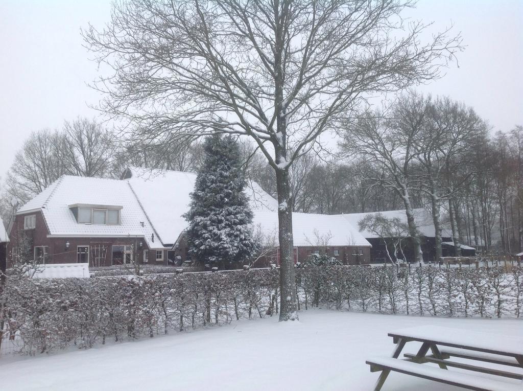 Bed&Breakfast Orvelte Eksteriør bilde