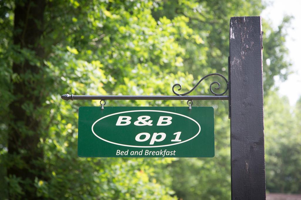 Bed&Breakfast Orvelte Eksteriør bilde
